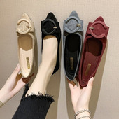 Model ženskih cipela od brušene kože na špic