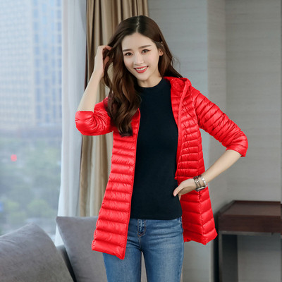 Kerge naiste jakk kapuutsiga ja suurustega kuni 6XL