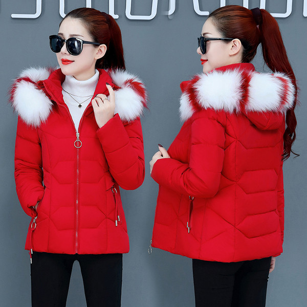 Naiste lühike jakk lukuga ja kapuutsiga